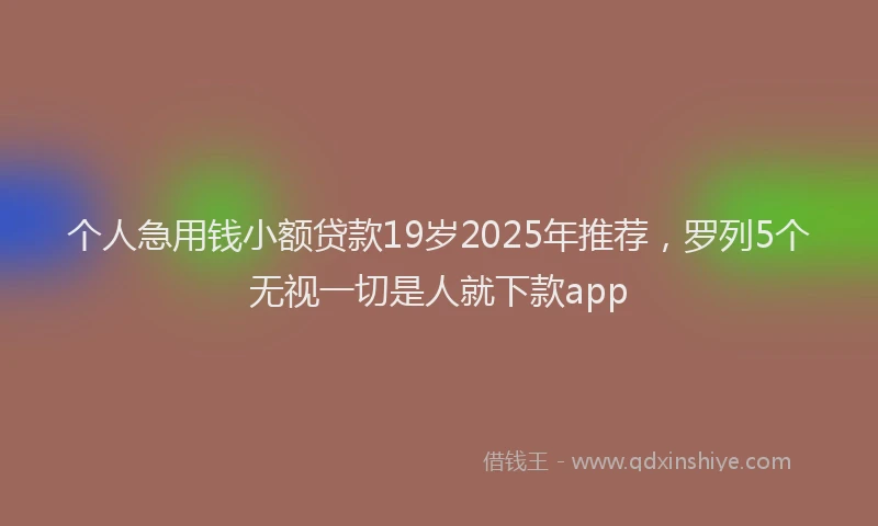 个人急用钱小额贷款19岁2025年推荐，罗列5个无视一切是人就下款app
