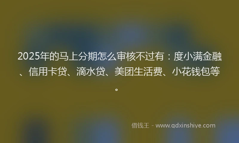 2025年的马上分期怎么审核不过有：度小满金融、信用卡贷、滴水贷、美团生活费、小花钱包等。