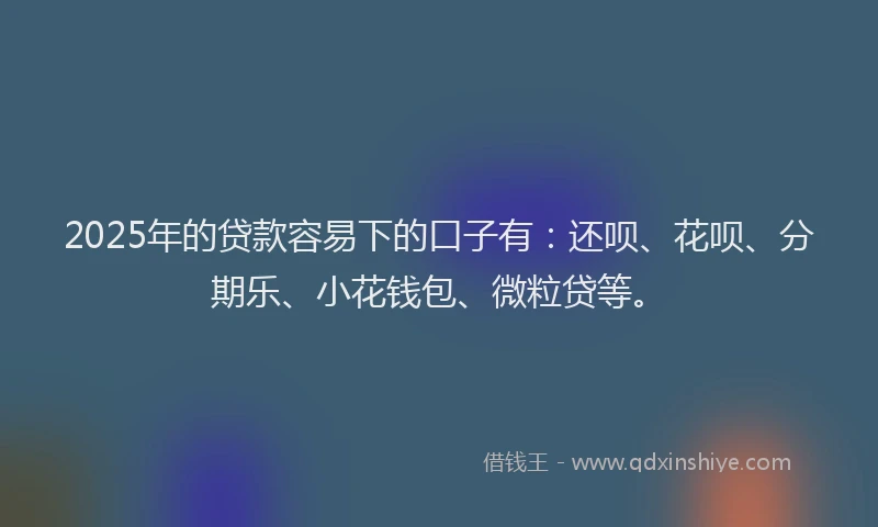 2025年的贷款容易下的口子有：还呗、花呗、分期乐、小花钱包、微粒贷等。