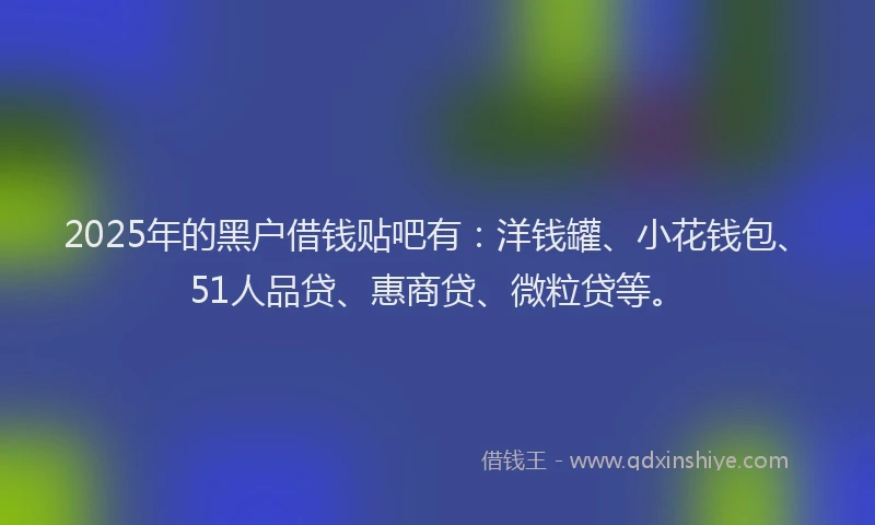 2025年的黑户借钱贴吧有：洋钱罐、小花钱包、51人品贷、惠商贷、微粒贷等。