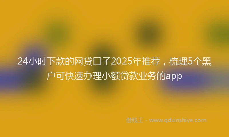 24小时下款的网贷口子2025年推荐，梳理5个黑户可快速办理小额贷款业务的app