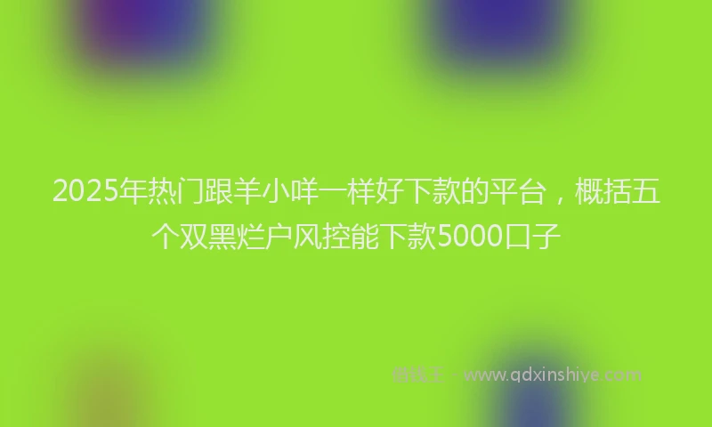 2025年热门跟羊小咩一样好下款的平台，概括五个双黑烂户风控能下款5000口子
