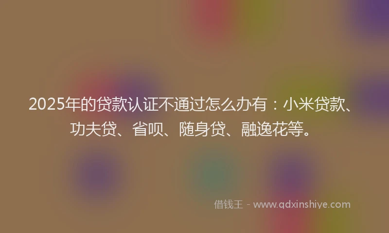 2025年的贷款认证不通过怎么办有：小米贷款、功夫贷、省呗、随身贷、融逸花等。