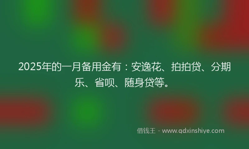 2025年的一月备用金有：安逸花、拍拍贷、分期乐、省呗、随身贷等。