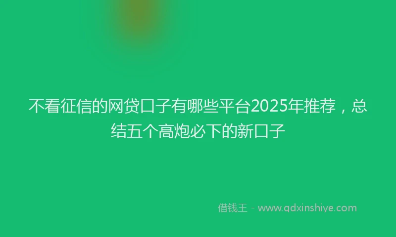 不看征信的网贷口子有哪些平台2025年推荐，总结五个高炮必下的新口子