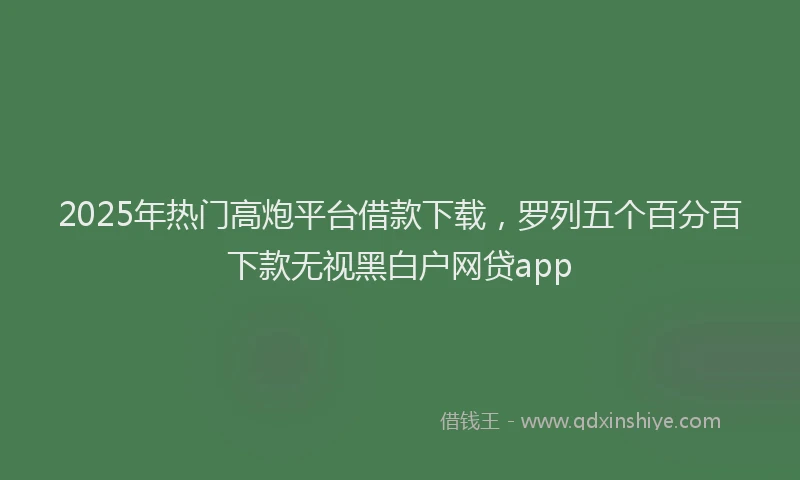 2025年热门高炮平台借款下载，罗列五个百分百下款无视黑白户网贷app