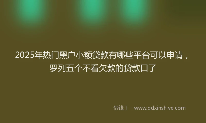 2025年热门黑户小额贷款有哪些平台可以申请，罗列五个不看欠款的贷款口子