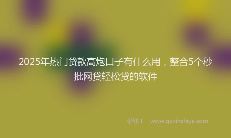 2025年热门贷款高炮口子有什么用，整合5个秒批网贷轻松贷的软件