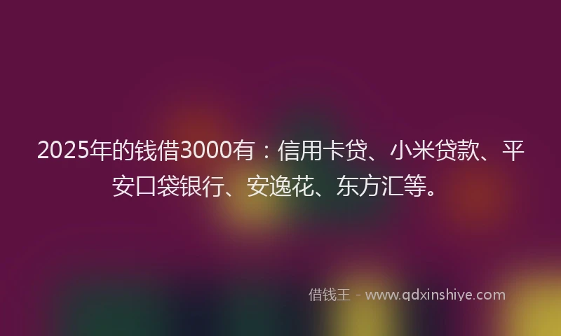 2025年的钱借3000有：信用卡贷、小米贷款、平安口袋银行、安逸花、东方汇等。