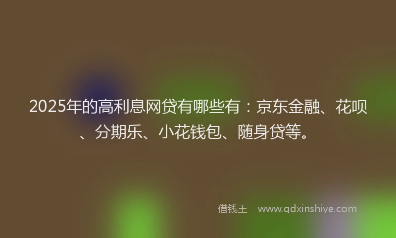 2025年的高利息网贷有哪些有：京东金融、花呗、分期乐、小花钱包、随身贷等。