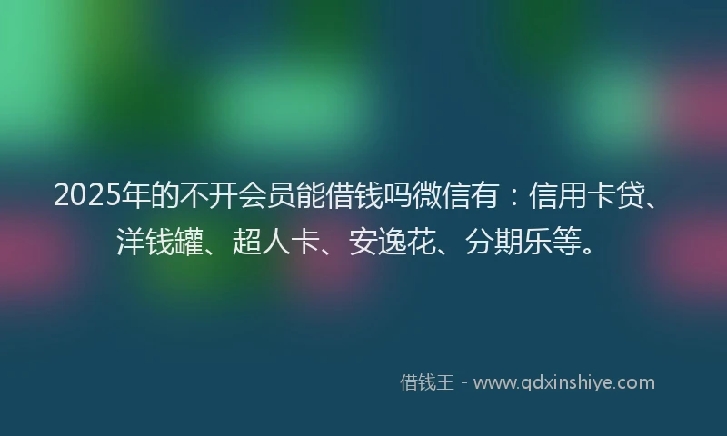 2025年的不开会员能借钱吗微信有：信用卡贷、洋钱罐、超人卡、安逸花、分期乐等。