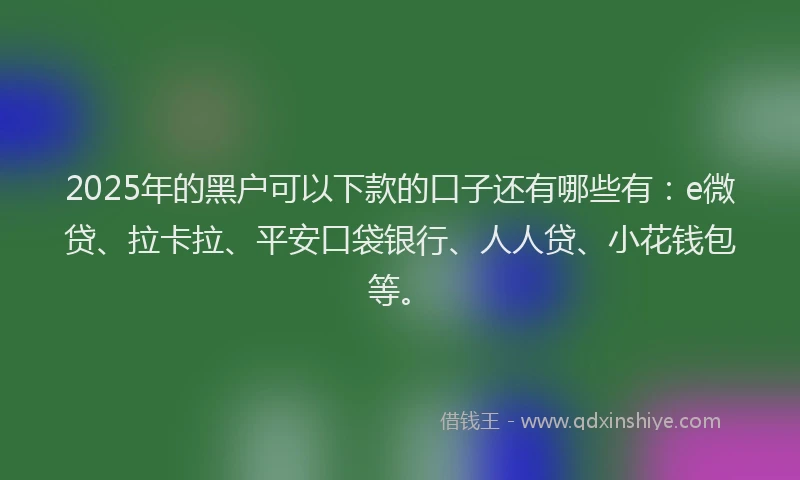 2025年的黑户可以下款的口子还有哪些有：e微贷、拉卡拉、平安口袋银行、人人贷、小花钱包等。