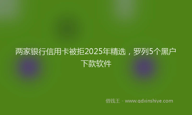 两家银行信用卡被拒2025年精选，罗列5个黑户下款软件