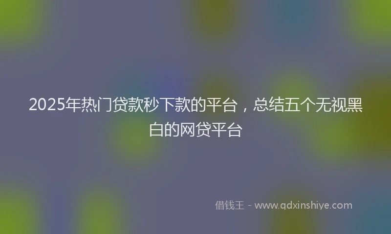 2025年热门贷款秒下款的平台，总结五个无视黑白的网贷平台