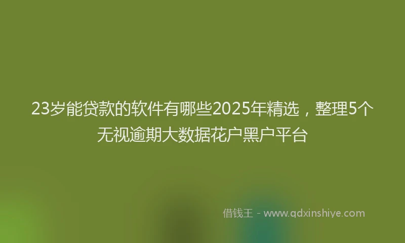 23岁能贷款的软件有哪些2025年精选，整理5个无视逾期大数据花户黑户平台