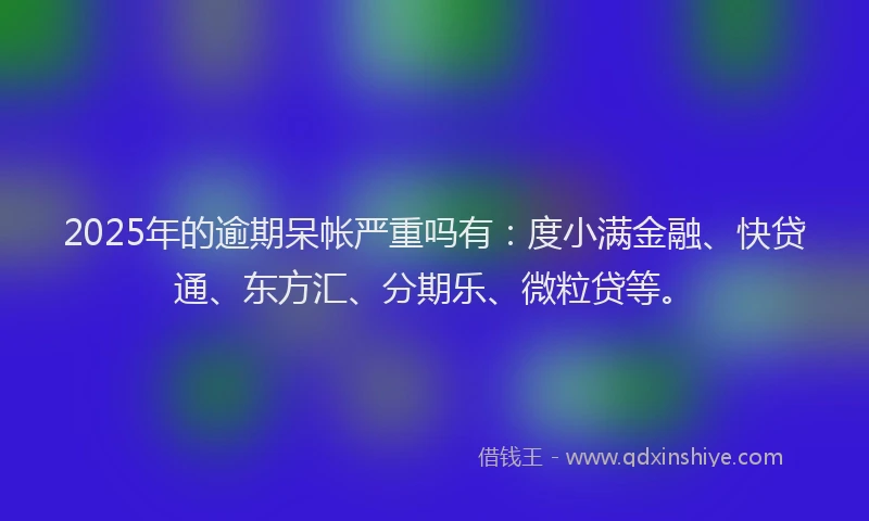 2025年的逾期呆帐严重吗有：度小满金融、快贷通、东方汇、分期乐、微粒贷等。