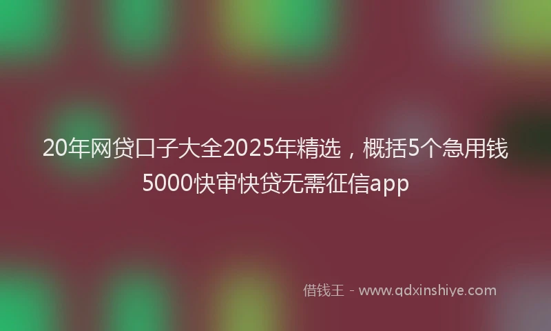 20年网贷口子大全2025年精选，概括5个急用钱5000快审快贷无需征信app