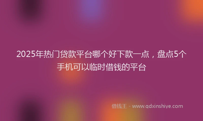 2025年热门贷款平台哪个好下款一点，盘点5个手机可以临时借钱的平台