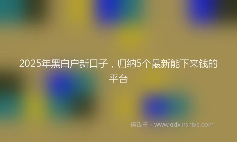 2025年黑白户新口子，归纳5个最新能下来钱的平台