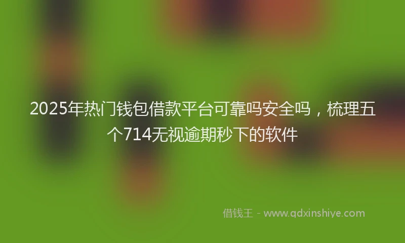 2025年热门钱包借款平台可靠吗安全吗，梳理五个714无视逾期秒下的软件