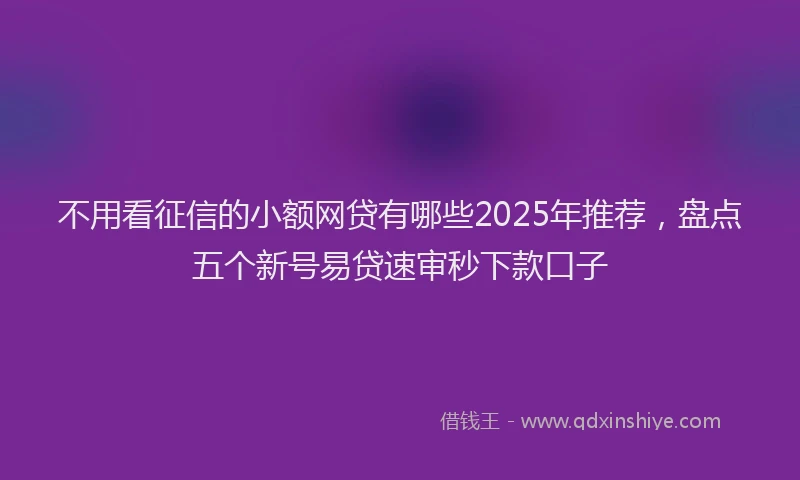 不用看征信的小额网贷有哪些2025年推荐，盘点五个新号易贷速审秒下款口子
