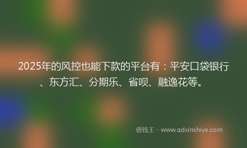 2025年的风控也能下款的平台有：平安口袋银行、东方汇、分期乐、省呗、融逸花等。