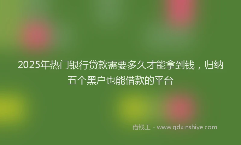 2025年热门银行贷款需要多久才能拿到钱，归纳五个黑户也能借款的平台