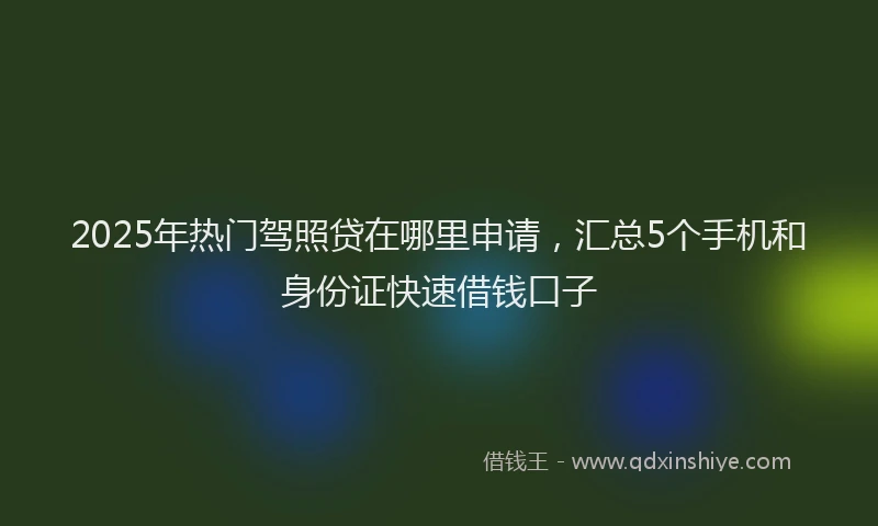 2025年热门驾照贷在哪里申请，汇总5个手机和身份证快速借钱口子