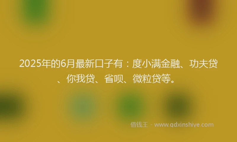 2025年的6月最新口子有：度小满金融、功夫贷、你我贷、省呗、微粒贷等。