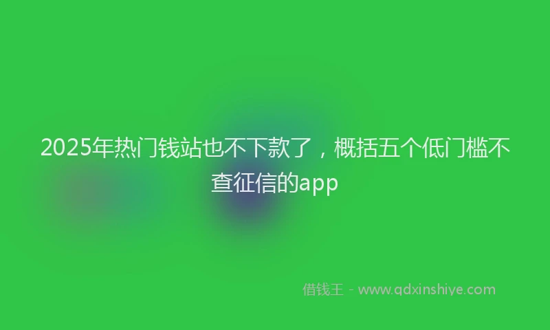 2025年热门钱站也不下款了，概括五个低门槛不查征信的app