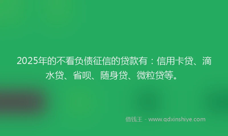 2025年的不看负债征信的贷款有：信用卡贷、滴水贷、省呗、随身贷、微粒贷等。