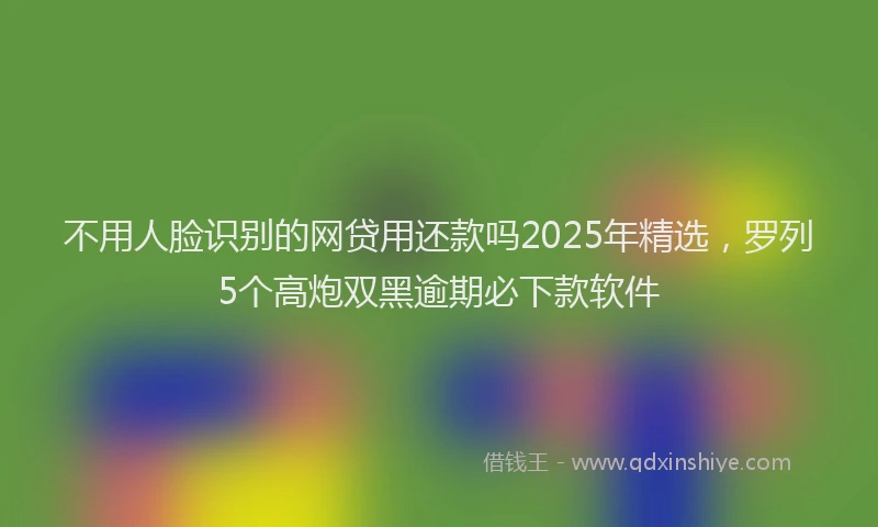 不用人脸识别的网贷用还款吗2025年精选，罗列5个高炮双黑逾期必下款软件