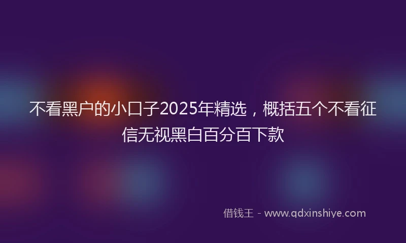 不看黑户的小口子2025年精选，概括五个不看征信无视黑白百分百下款