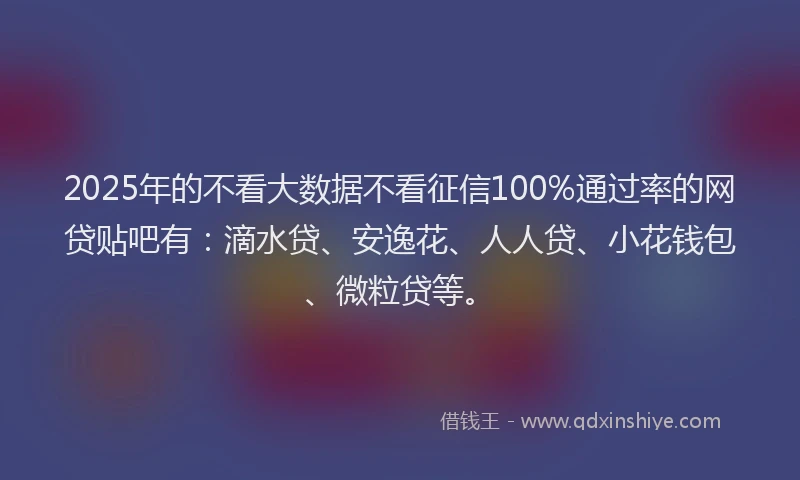 2025年的不看大数据不看征信100%通过率的网贷贴吧有：滴水贷、安逸花、人人贷、小花钱包、微粒贷等。
