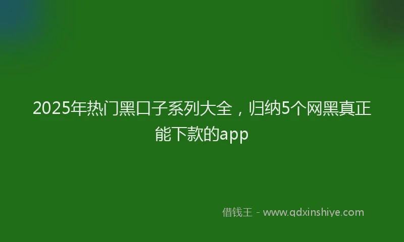 2025年热门黑口子系列大全，归纳5个网黑真正能下款的app