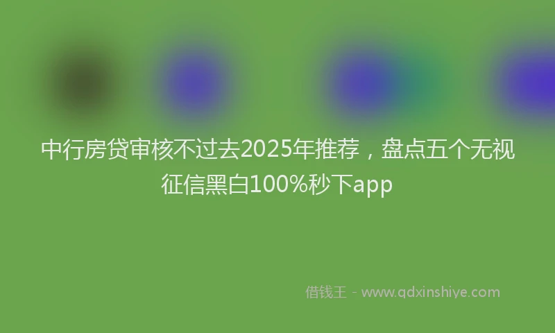 中行房贷审核不过去2025年推荐，盘点五个无视征信黑白100%秒下app
