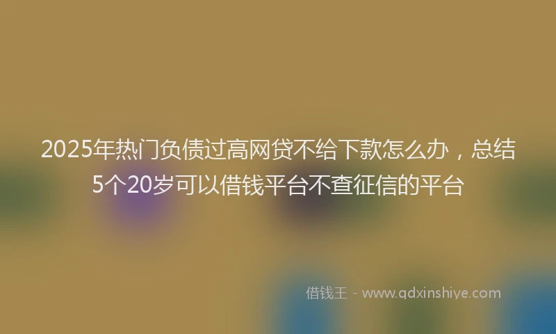 2025年热门负债过高网贷不给下款怎么办，总结5个20岁可以借钱平台不查征信的平台