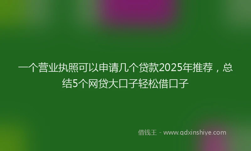 一个营业执照可以申请几个贷款2025年推荐，总结5个网贷大口子轻松借口子