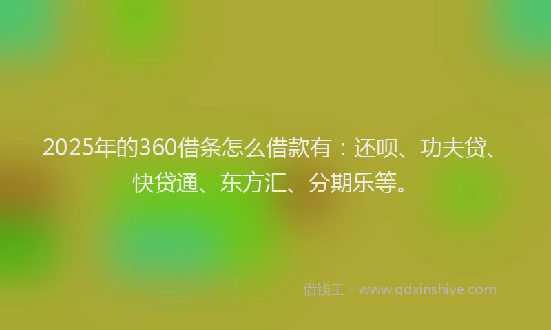2025年的360借条怎么借款有：还呗、功夫贷、快贷通、东方汇、分期乐等。