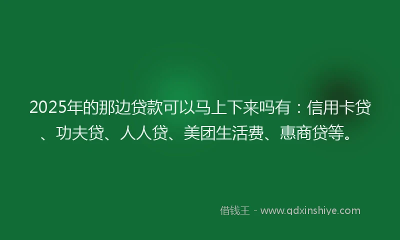2025年的那边贷款可以马上下来吗有：信用卡贷、功夫贷、人人贷、美团生活费、惠商贷等。