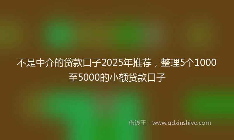 不是中介的贷款口子2025年推荐，整理5个1000至5000的小额贷款口子