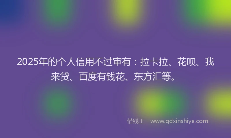 2025年的个人信用不过审有：拉卡拉、花呗、我来贷、百度有钱花、东方汇等。