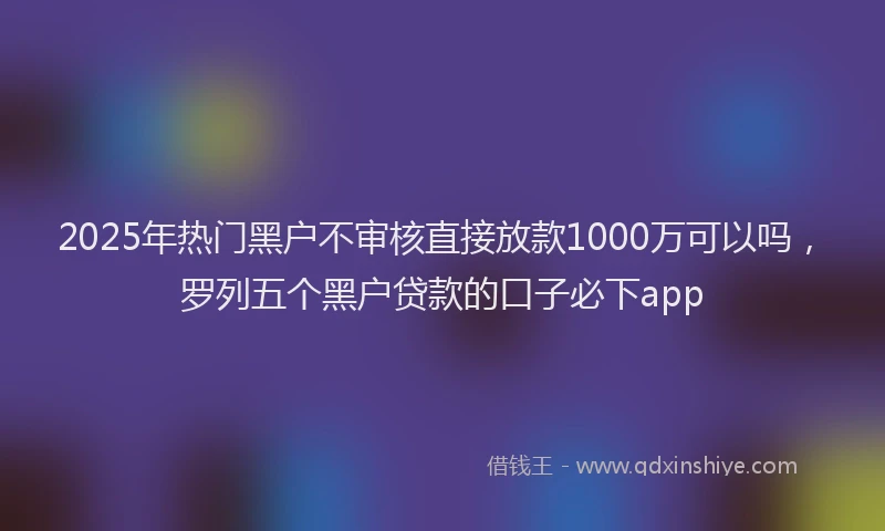 2025年热门黑户不审核直接放款1000万可以吗，罗列五个黑户贷款的口子必下app