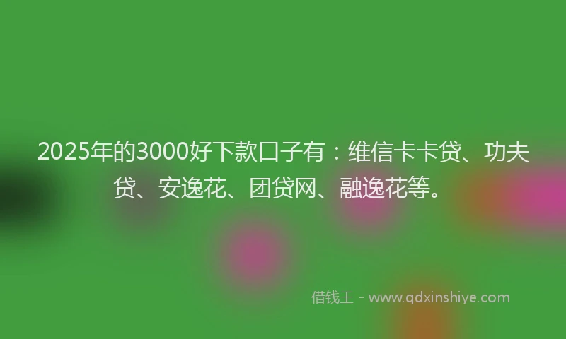 2025年的3000好下款口子有：维信卡卡贷、功夫贷、安逸花、团贷网、融逸花等。