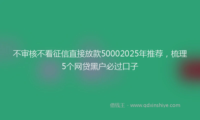 不审核不看征信直接放款50002025年推荐，梳理5个网贷黑户必过口子