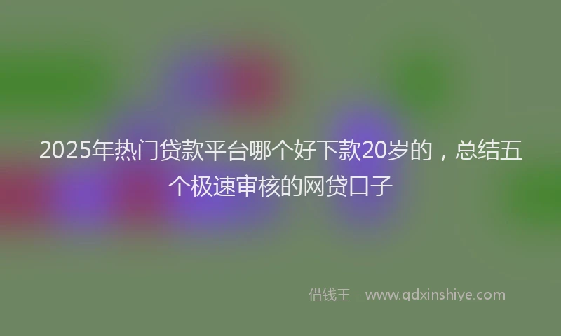 2025年热门贷款平台哪个好下款20岁的，总结五个极速审核的网贷口子