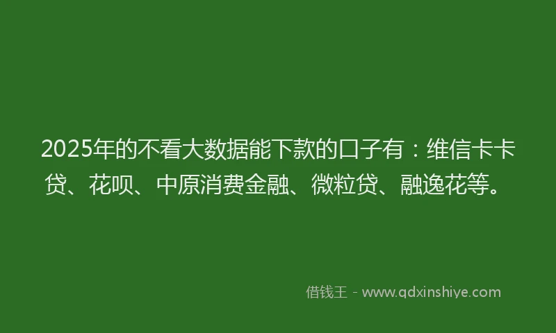 2025年的不看大数据能下款的口子有：维信卡卡贷、花呗、中原消费金融、微粒贷、融逸花等。