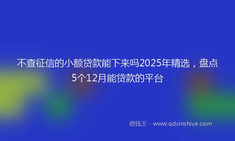 不查征信的小额贷款能下来吗2025年精选，盘点5个12月能贷款的平台