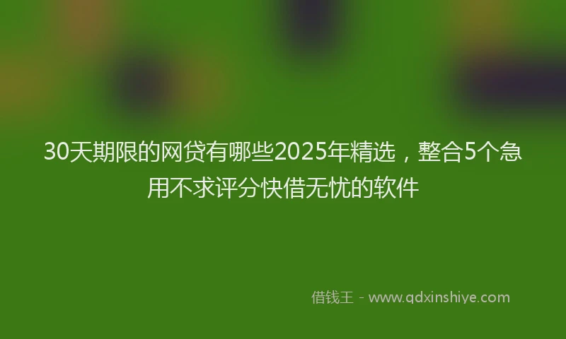 30天期限的网贷有哪些2025年精选，整合5个急用不求评分快借无忧的软件