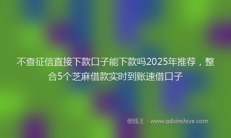 不查征信直接下款口子能下款吗2025年推荐，整合5个芝麻借款实时到账速借口子